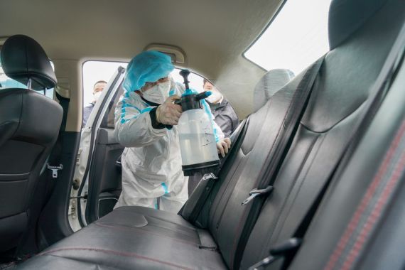 Formas Fáceis Para se Livrar das Formigas no Carro
